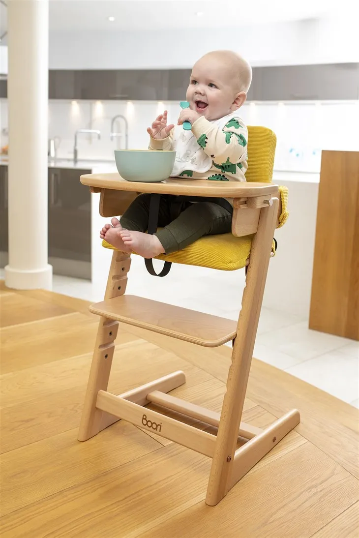 High Chair With Newborn Seat best